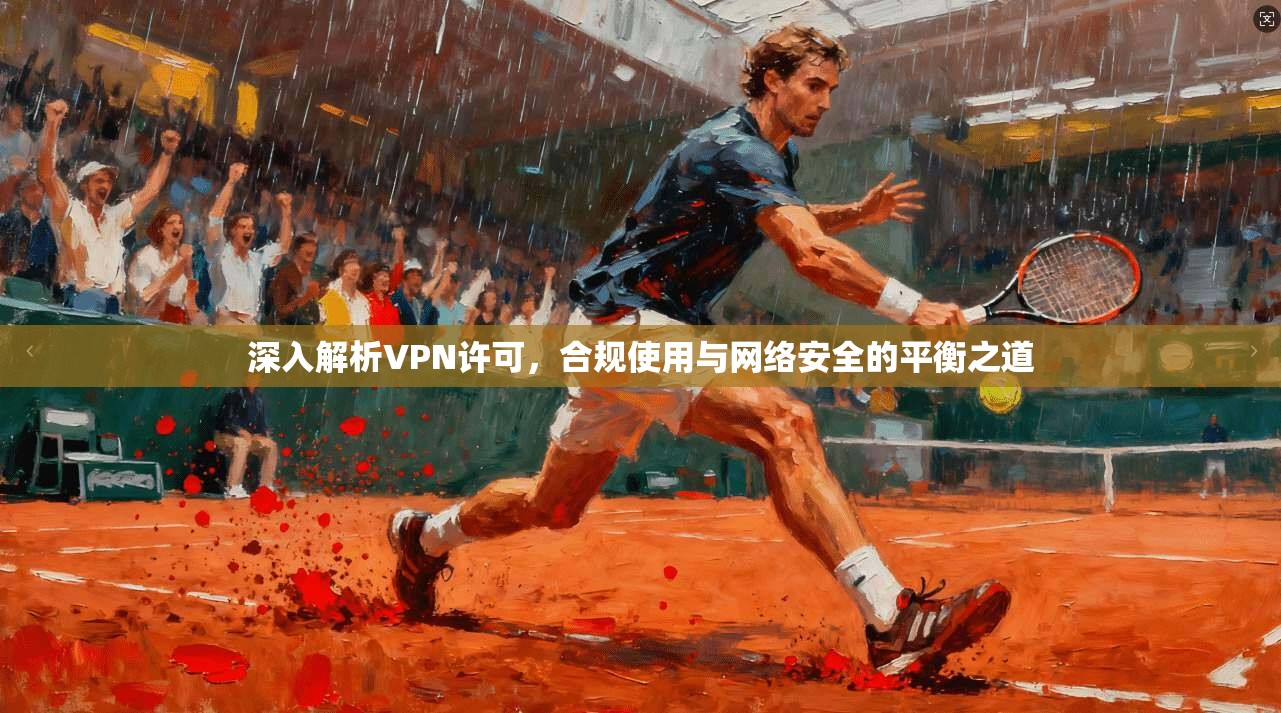 深入解析VPN许可，合规使用与网络安全的平衡之道