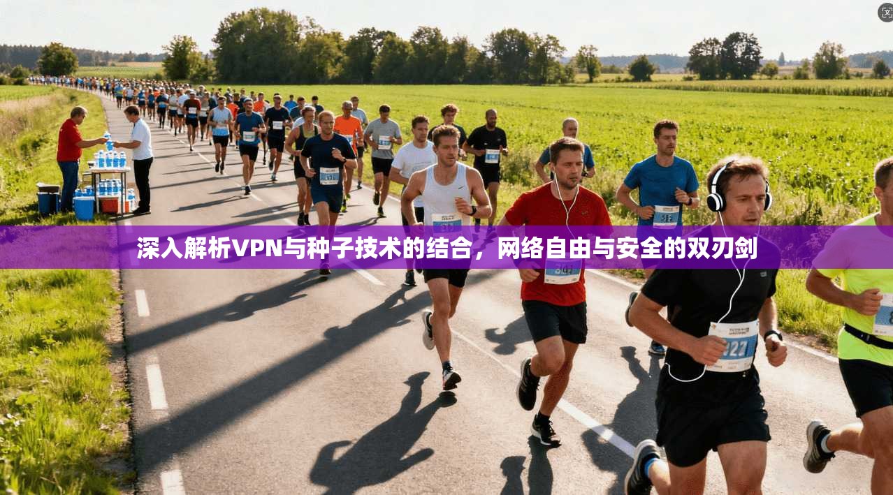 深入解析VPN与种子技术的结合，网络自由与安全的双刃剑