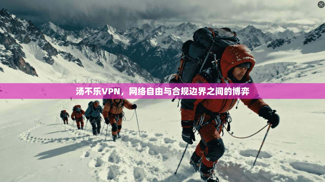 汤不乐VPN，网络自由与合规边界之间的博弈