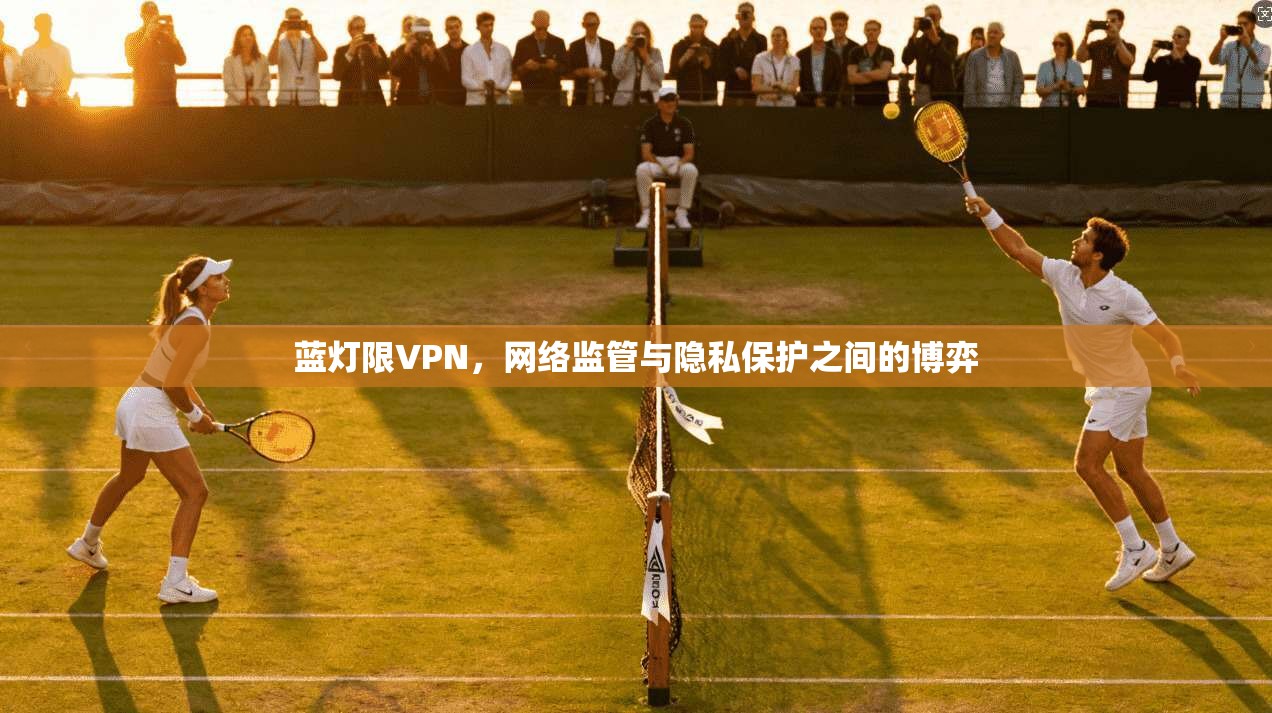 蓝灯限VPN，网络监管与隐私保护之间的博弈