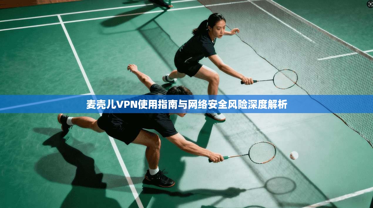 麦壳儿VPN使用指南与网络安全风险深度解析
