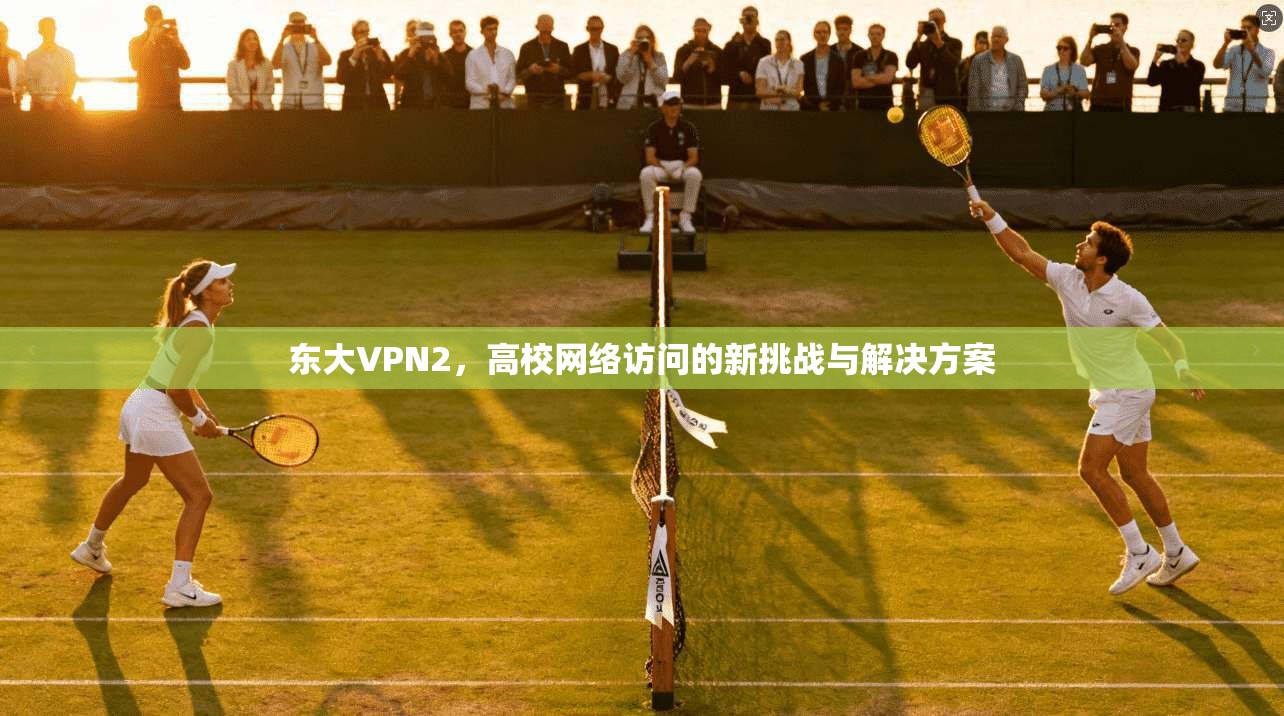 东大VPN2，高校网络访问的新挑战与解决方案