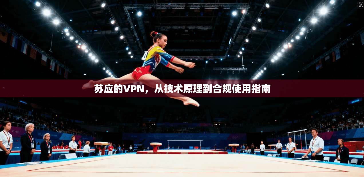 苏应的VPN，从技术原理到合规使用指南