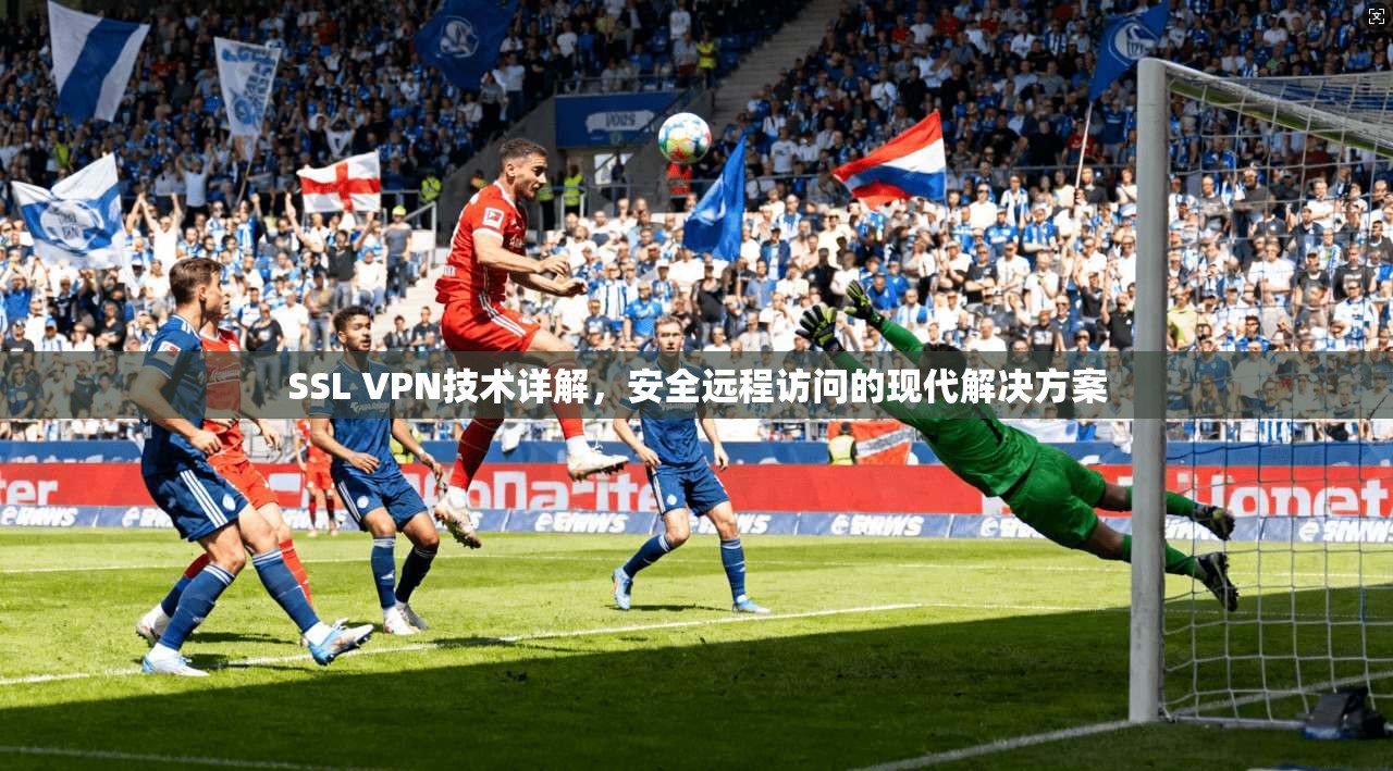 SSL VPN技术详解，安全远程访问的现代解决方案
