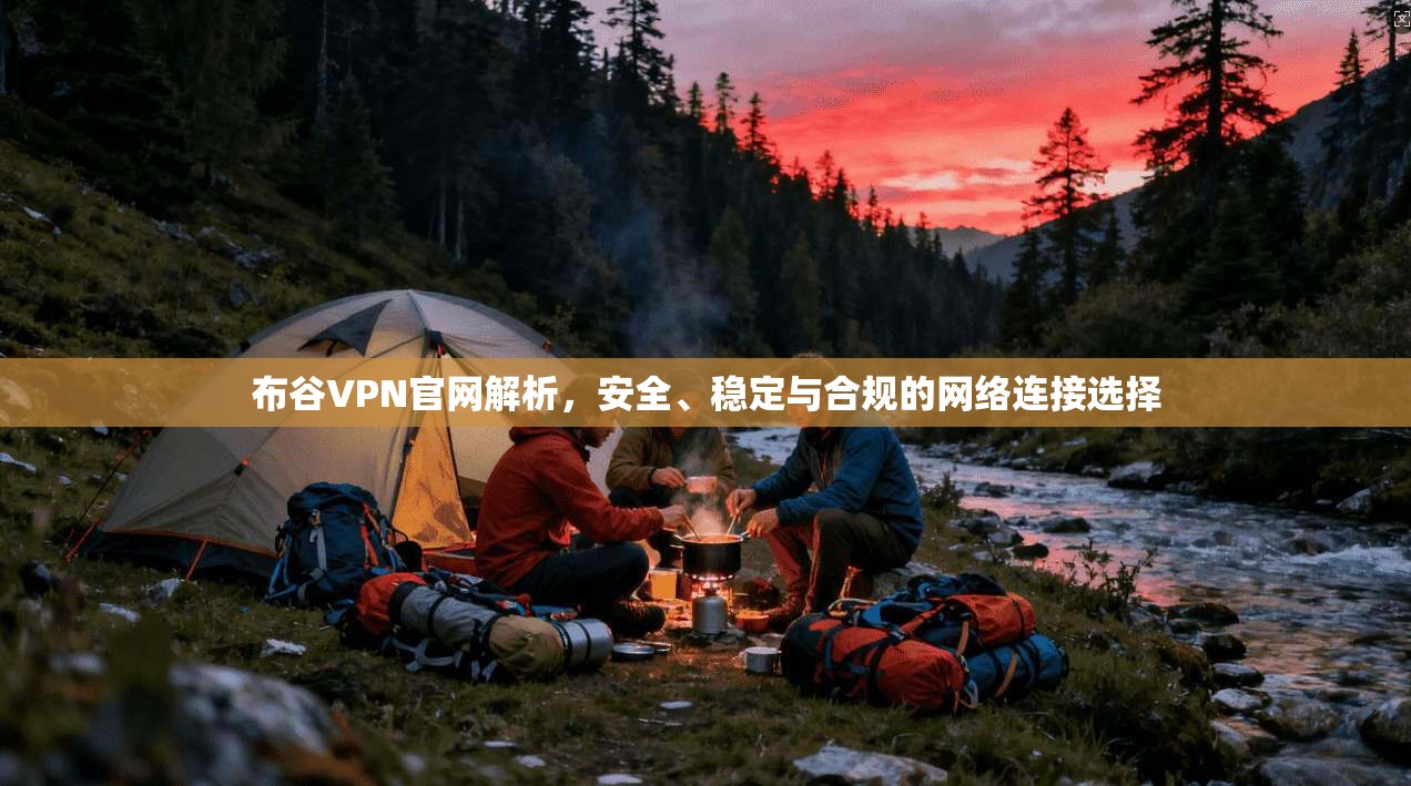 布谷VPN官网解析，安全、稳定与合规的网络连接选择