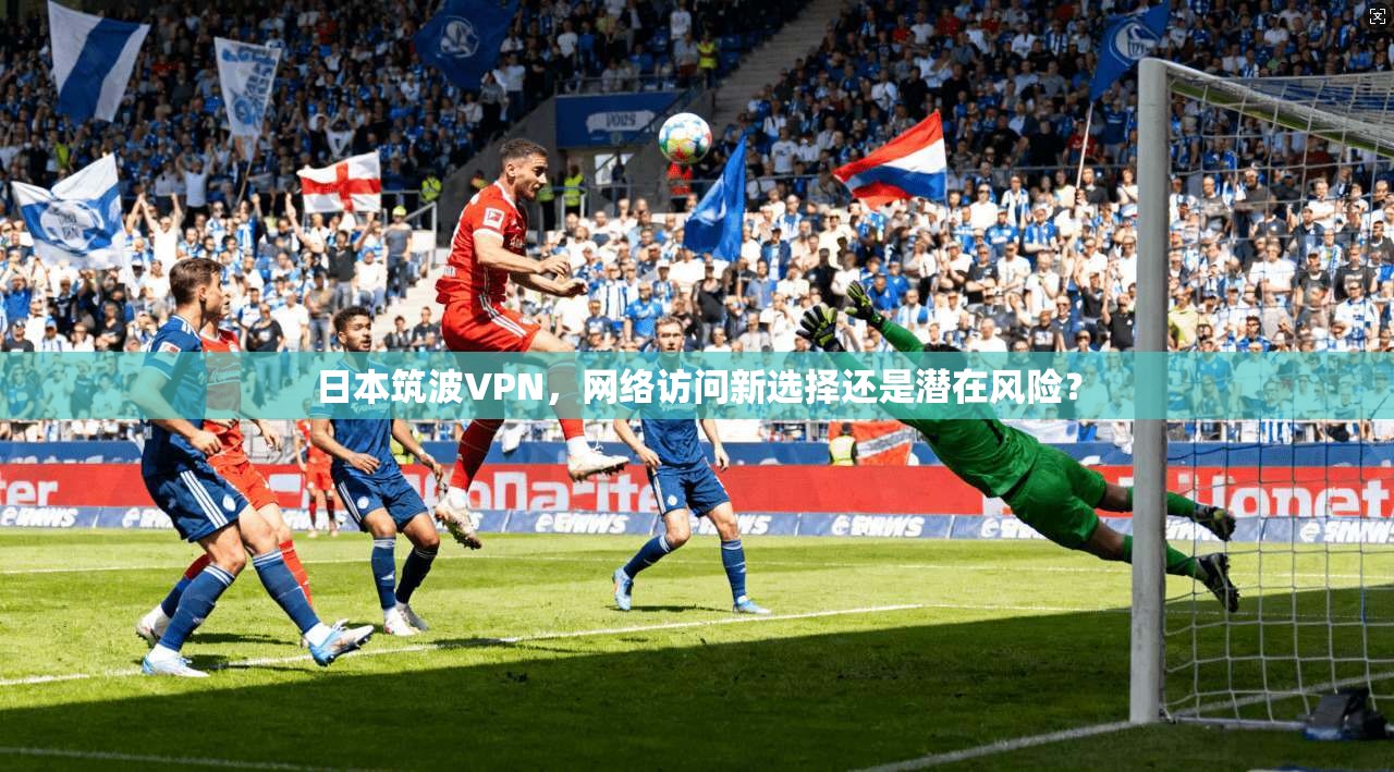 日本筑波VPN，网络访问新选择还是潜在风险？