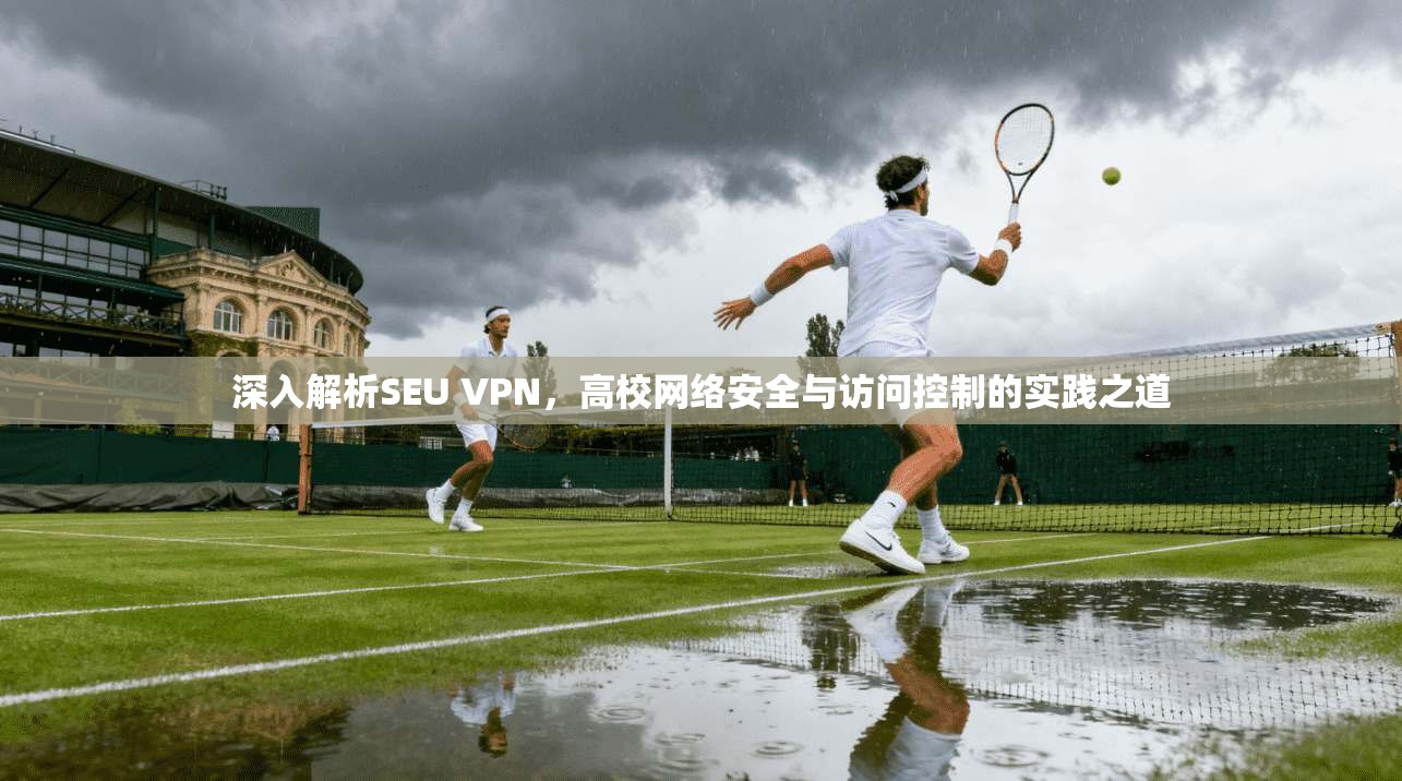 深入解析SEU VPN，高校网络安全与访问控制的实践之道