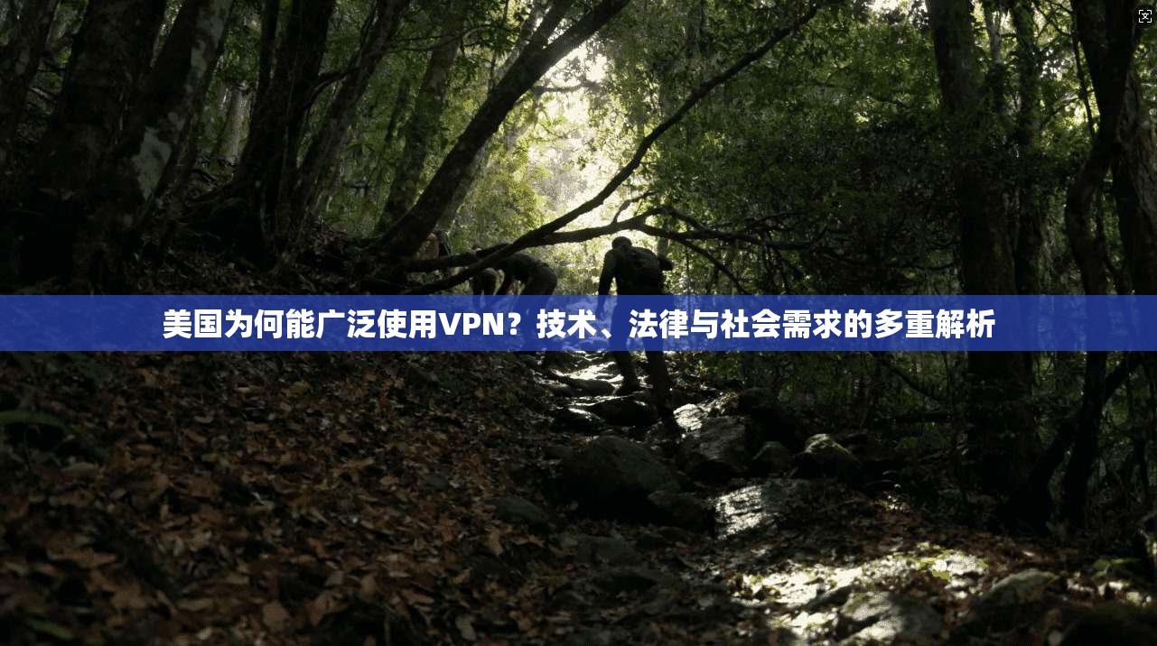 美国为何能广泛使用VPN？技术、法律与社会需求的多重解析