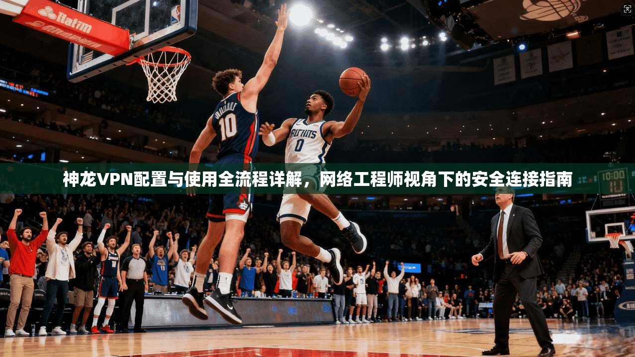 神龙VPN配置与使用全流程详解，网络工程师视角下的安全连接指南
