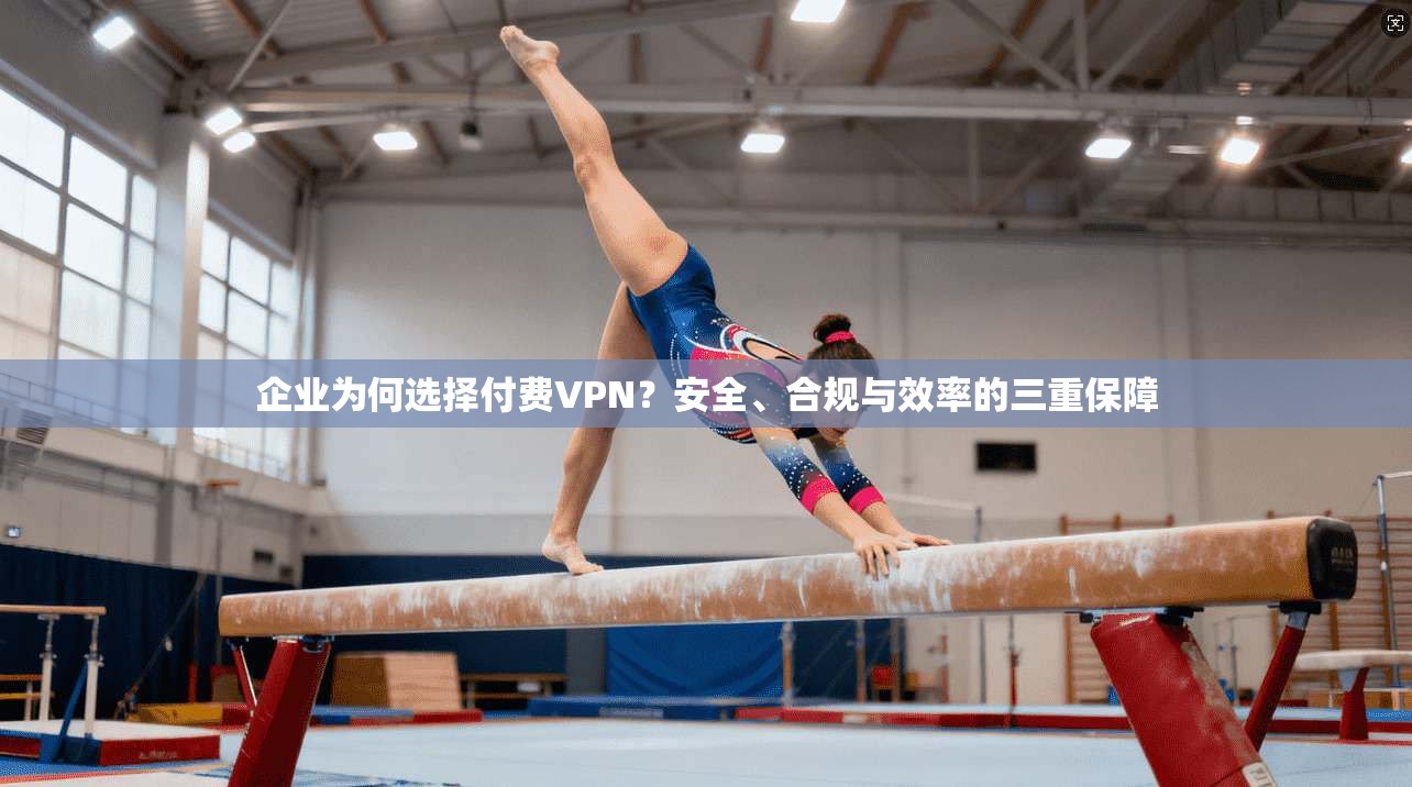 企业为何选择付费VPN?安全、合规与效率的三重保障 企业为何选择付费VPN?安全、合规与效率的三重保障