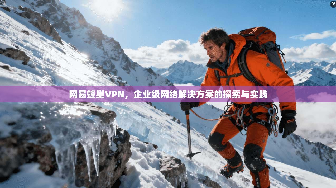 网易蜂巢VPN，企业级网络解决方案的探索与实践