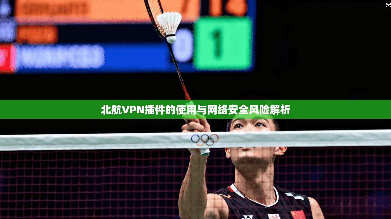北航VPN插件的使用与网络安全风险解析