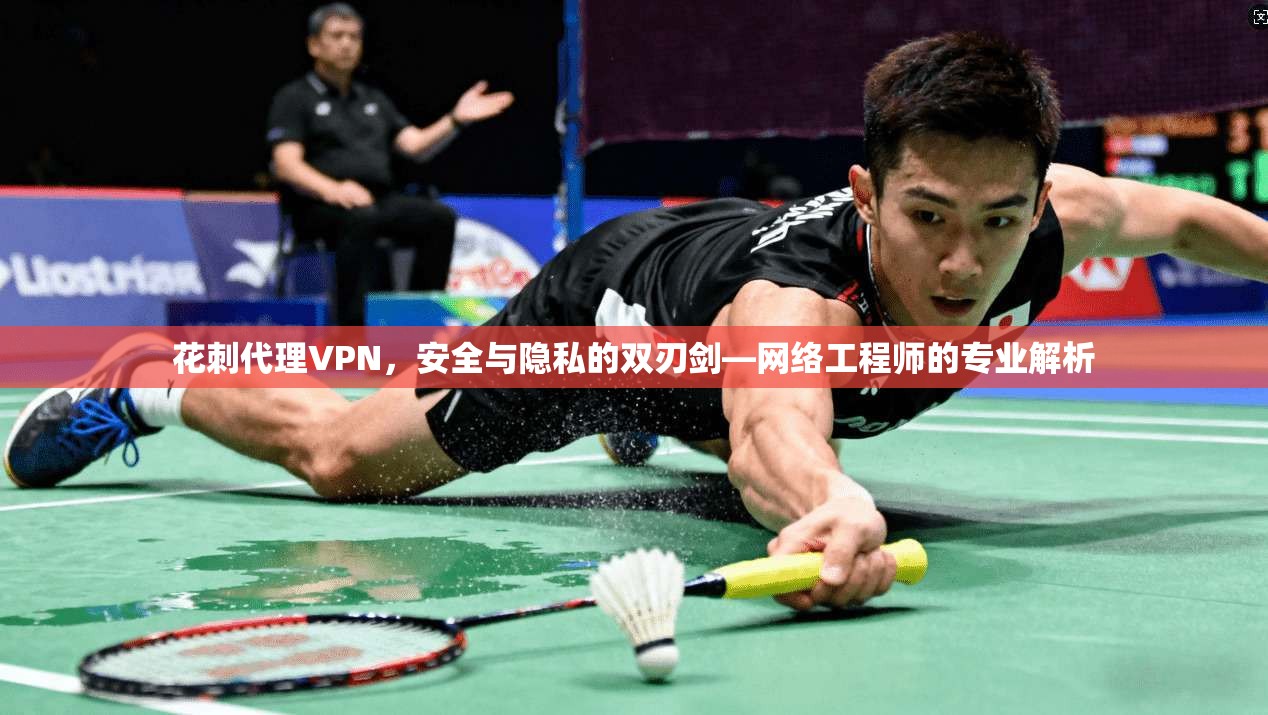 花刺代理VPN，安全与隐私的双刃剑—网络工程师的专业解析