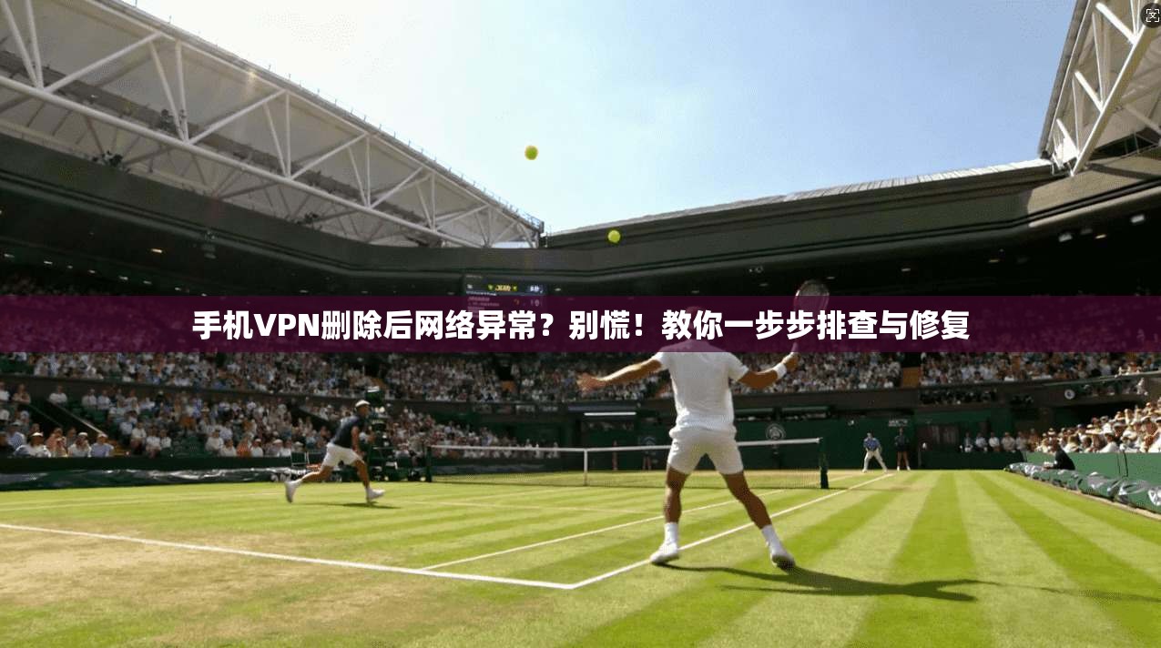 手机VPN删除后网络异常？别慌！教你一步步排查与修复
