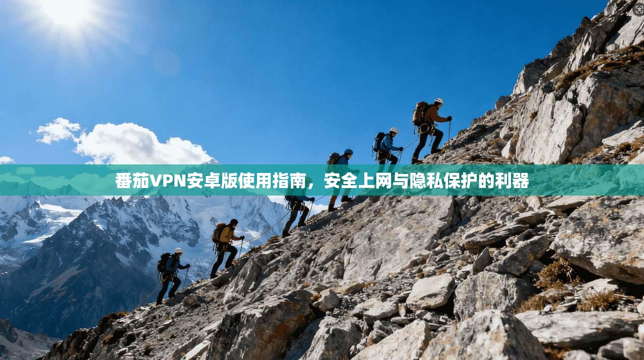 番茄VPN安卓版使用指南，安全上网与隐私保护的利器