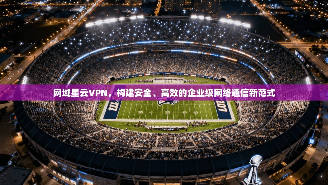 网域星云VPN，构建安全、高效的企业级网络通信新范式