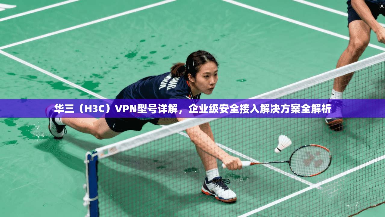 华三（H3C）VPN型号详解，企业级安全接入解决方案全解析