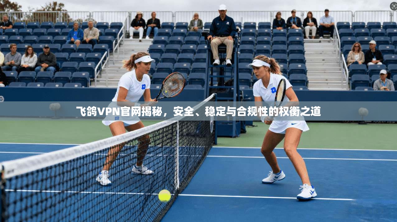 飞鸽VPN官网揭秘，安全、稳定与合规性的权衡之道