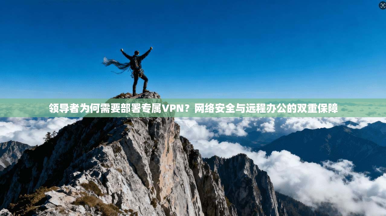 领导者为何需要部署专属VPN？网络安全与远程办公的双重保障