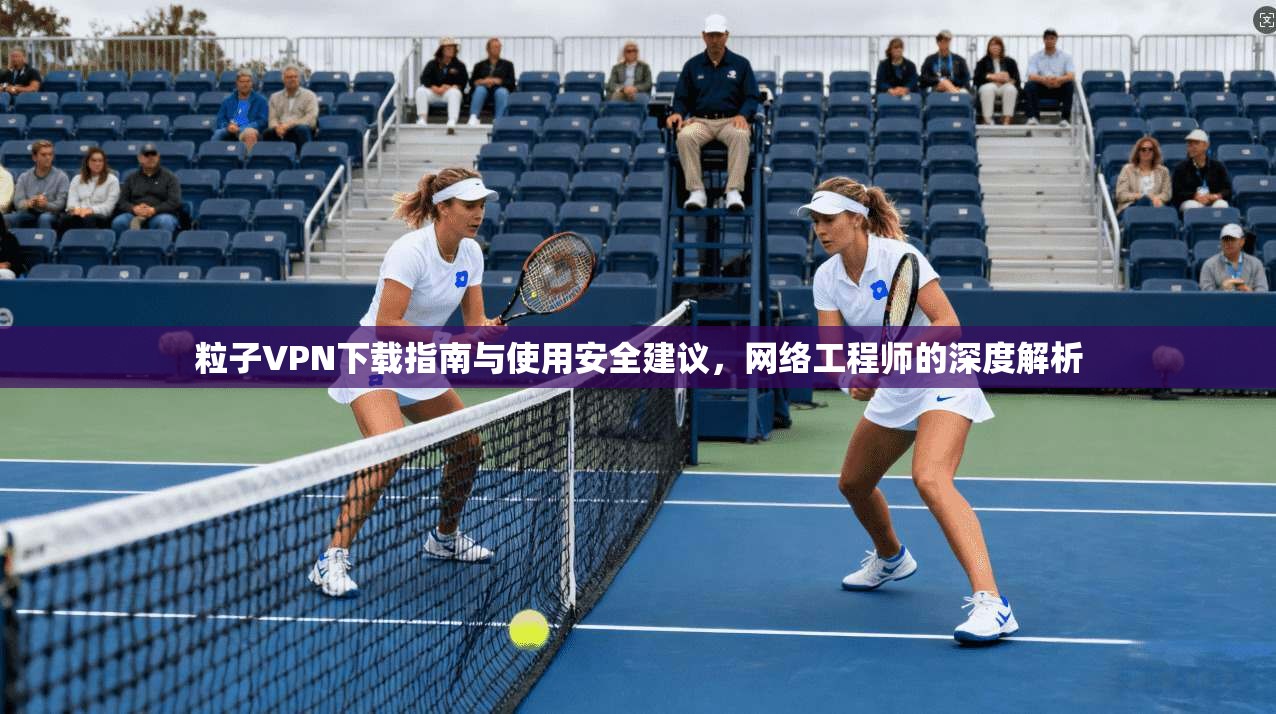 粒子VPN下载指南与使用安全建议，网络工程师的深度解析
