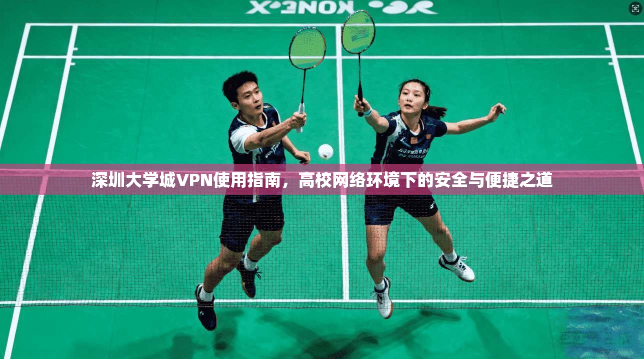 深圳大学城VPN使用指南，高校网络环境下的安全与便捷之道