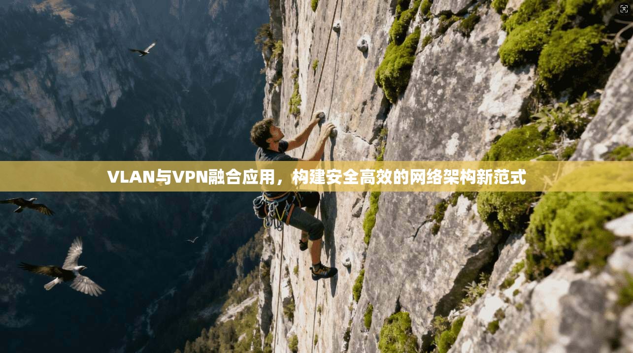 VLAN与VPN融合应用,构建安全高效的网络架构新范式 VLAN与VPN融合应用,构建安全高效的网络架构新范式