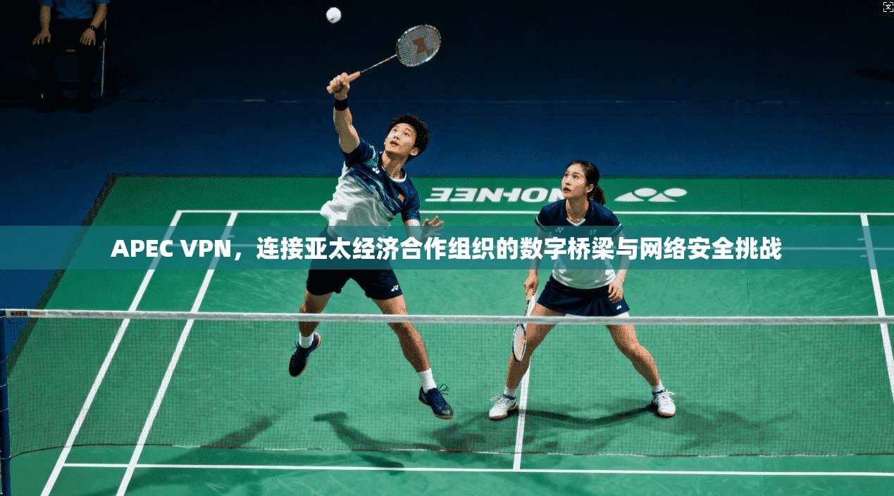 APEC VPN，连接亚太经济合作组织的数字桥梁与网络安全挑战