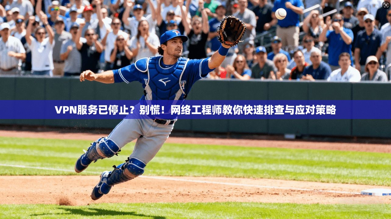 VPN服务已停止？别慌！网络工程师教你快速排查与应对策略