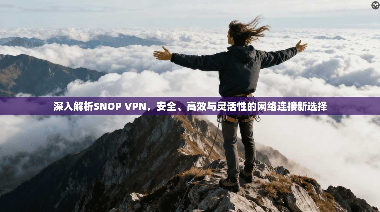 深入解析SNOP VPN，安全、高效与灵活性的网络连接新选择