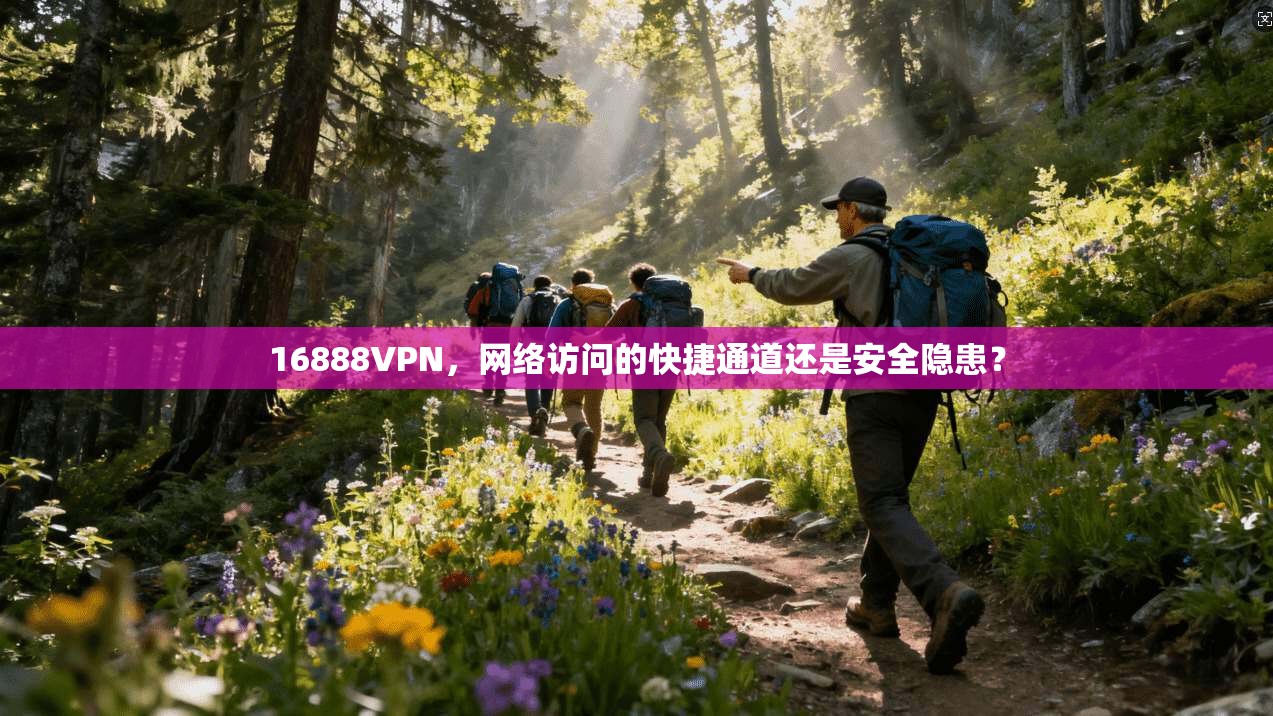 16888VPN，网络访问的快捷通道还是安全隐患？