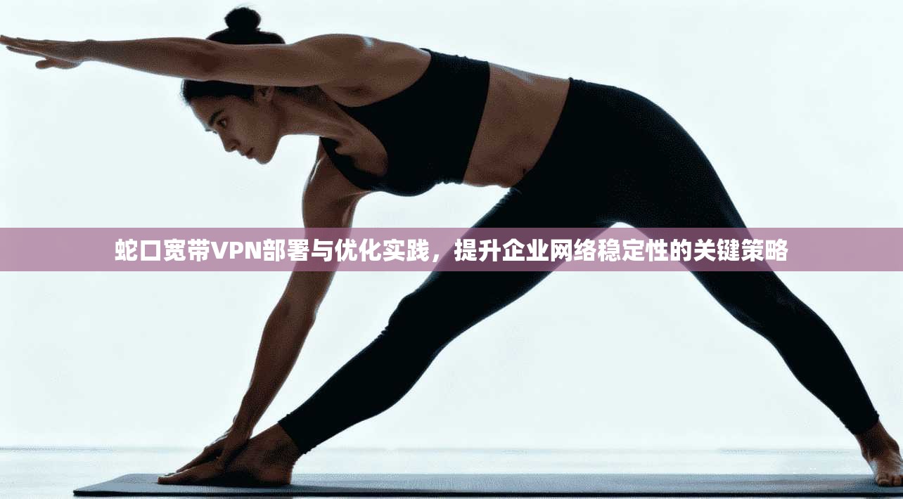 蛇口宽带VPN部署与优化实践，提升企业网络稳定性的关键策略