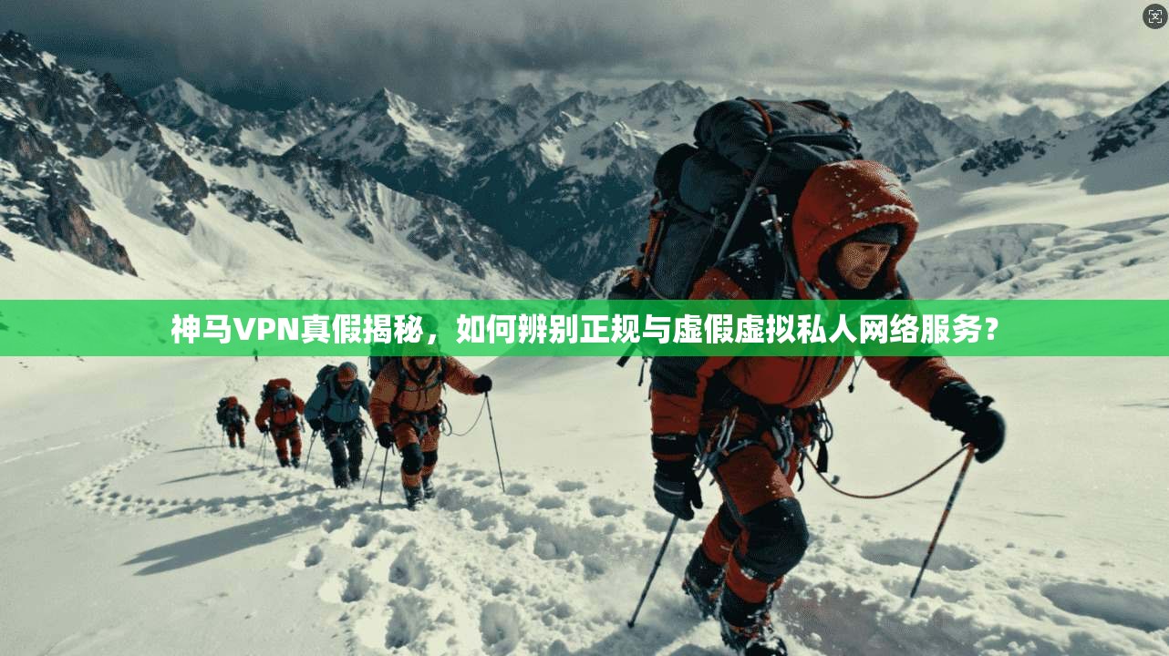 神马VPN真假揭秘，如何辨别正规与虚假虚拟私人网络服务？