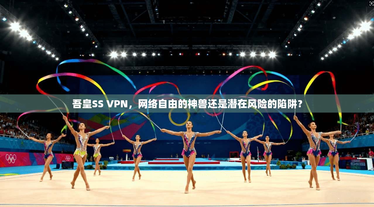 吾皇SS VPN，网络自由的神兽还是潜在风险的陷阱？