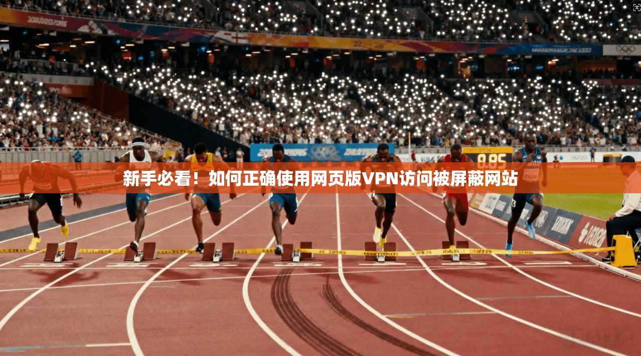 新手必看！如何正确使用网页版VPN访问被屏蔽网站
