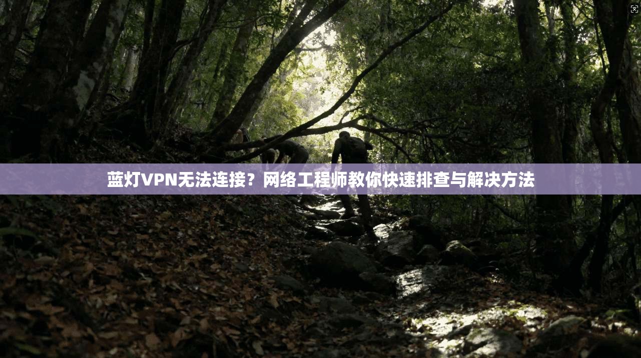 蓝灯VPN无法连接？网络工程师教你快速排查与解决方法