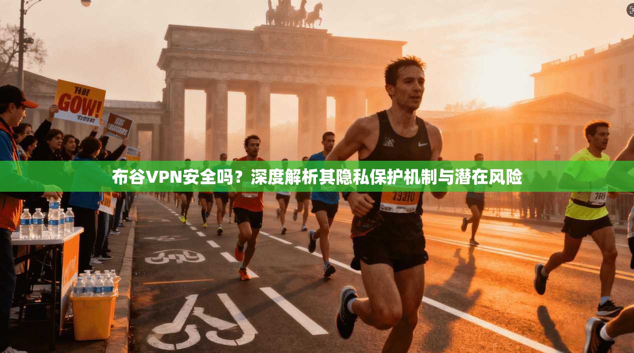 布谷VPN安全吗？深度解析其隐私保护机制与潜在风险