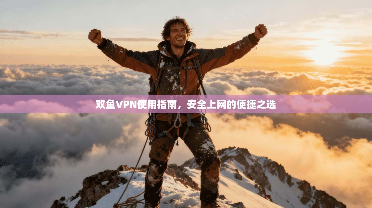 双鱼VPN使用指南，安全上网的便捷之选