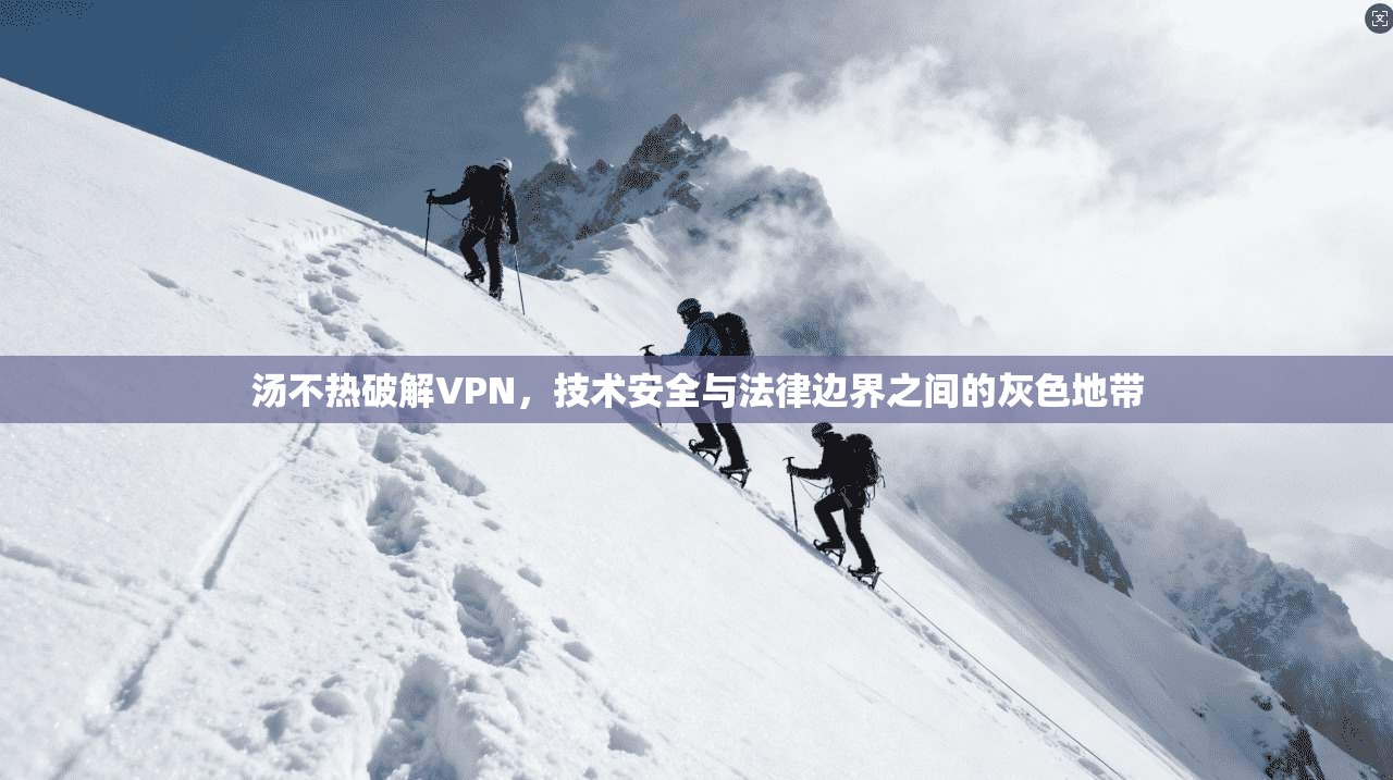 汤不热破解VPN，技术安全与法律边界之间的灰色地带