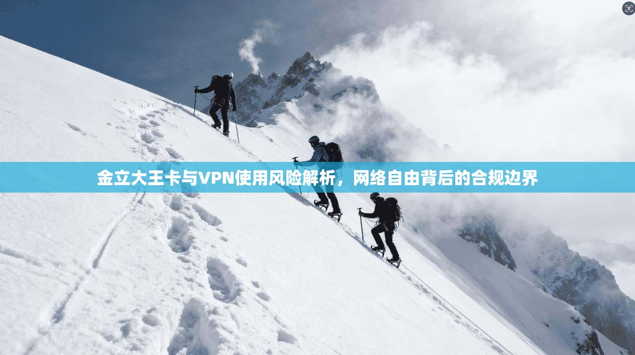 金立大王卡与VPN使用风险解析，网络自由背后的合规边界