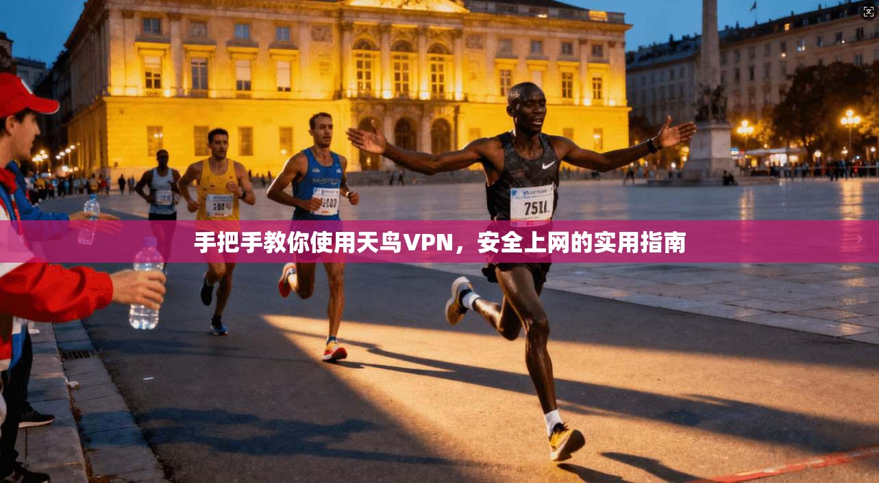 手把手教你使用天鸟VPN，安全上网的实用指南