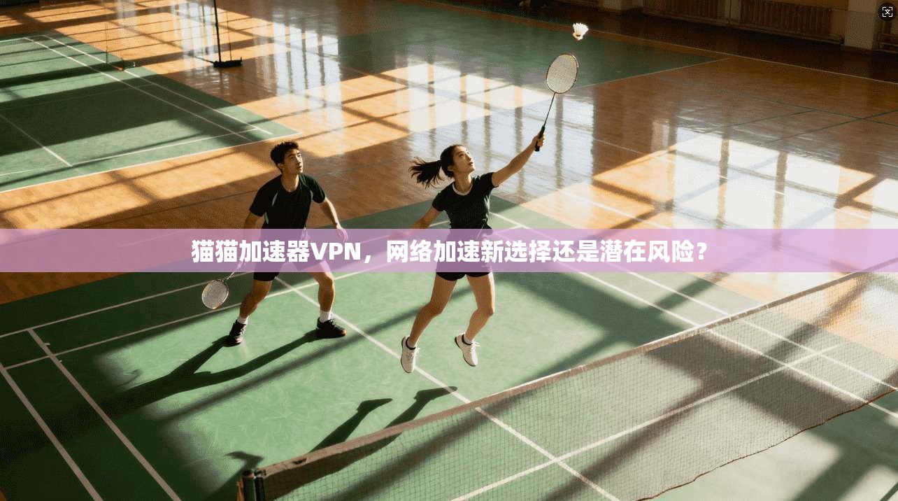 猫猫加速器VPN，网络加速新选择还是潜在风险？