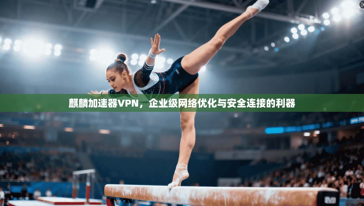 麒麟加速器VPN，企业级网络优化与安全连接的利器