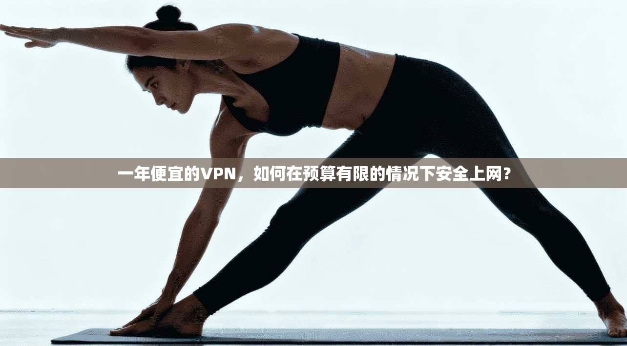 一年便宜的VPN,如何在预算有限的情况下安全上网? 一年便宜的VPN,如何在预算有限的情况下安全上网?