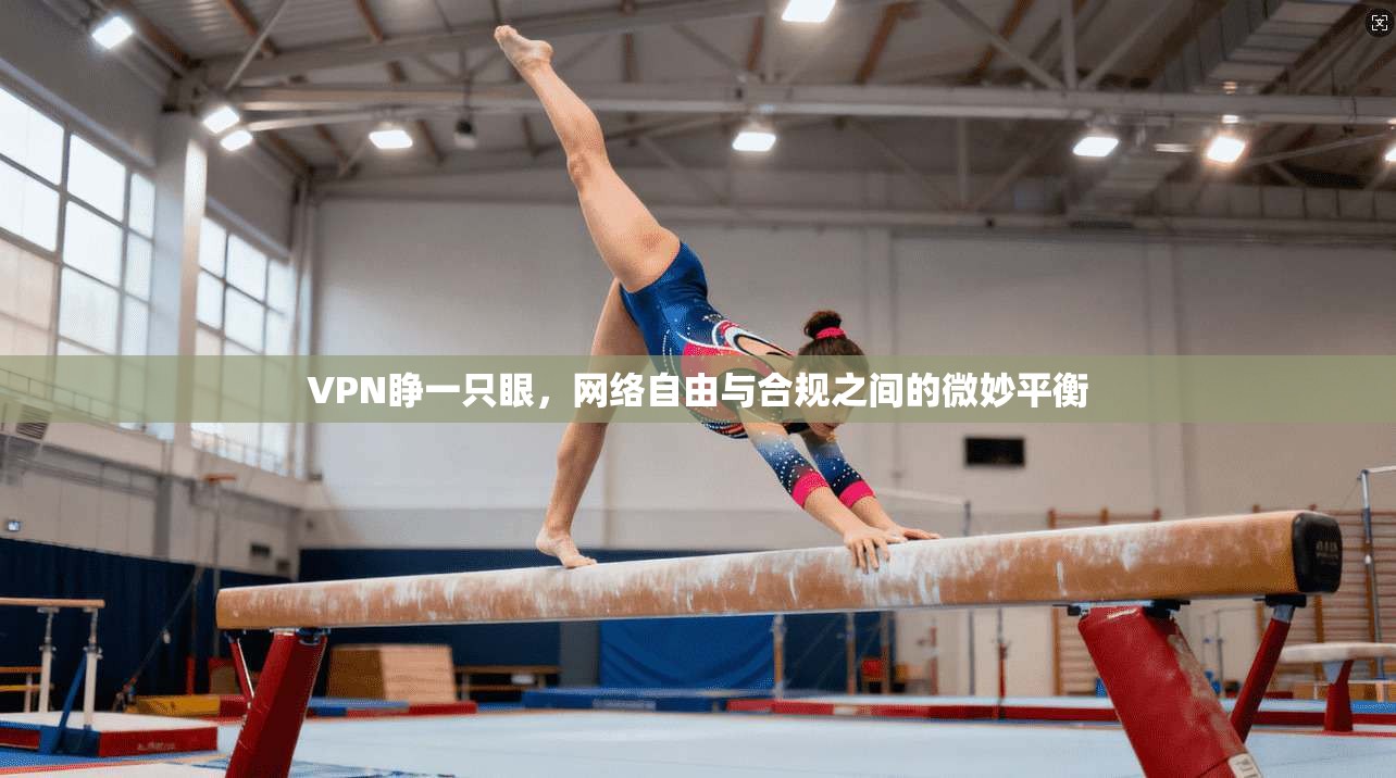 VPN睁一只眼，网络自由与合规之间的微妙平衡