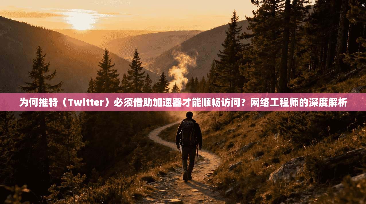 为何推特（Twitter）必须借助加速器才能顺畅访问？网络工程师的深度解析