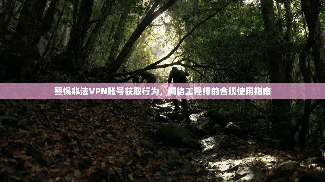 警惕非法VPN账号获取行为，网络工程师的合规使用指南