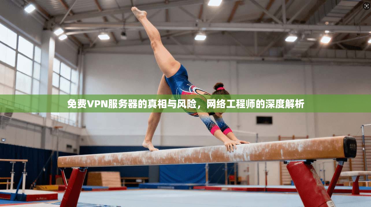 免费VPN服务器的真相与风险，网络工程师的深度解析
