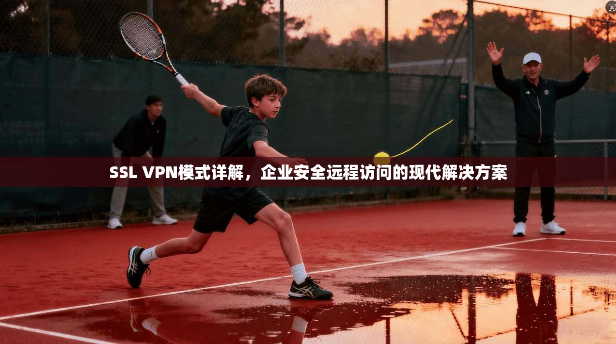 SSL VPN模式详解，企业安全远程访问的现代解决方案