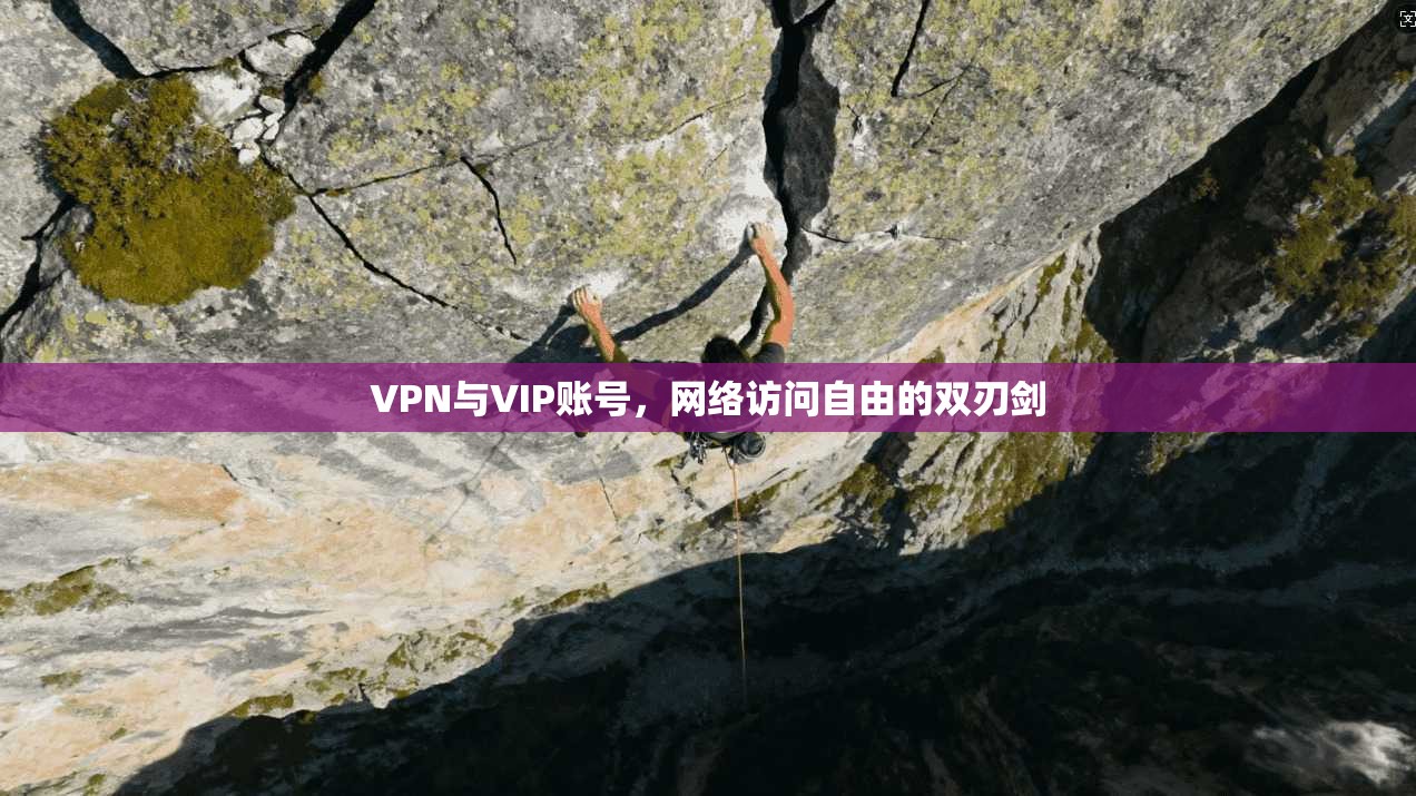 VPN与VIP账号，网络访问自由的双刃剑