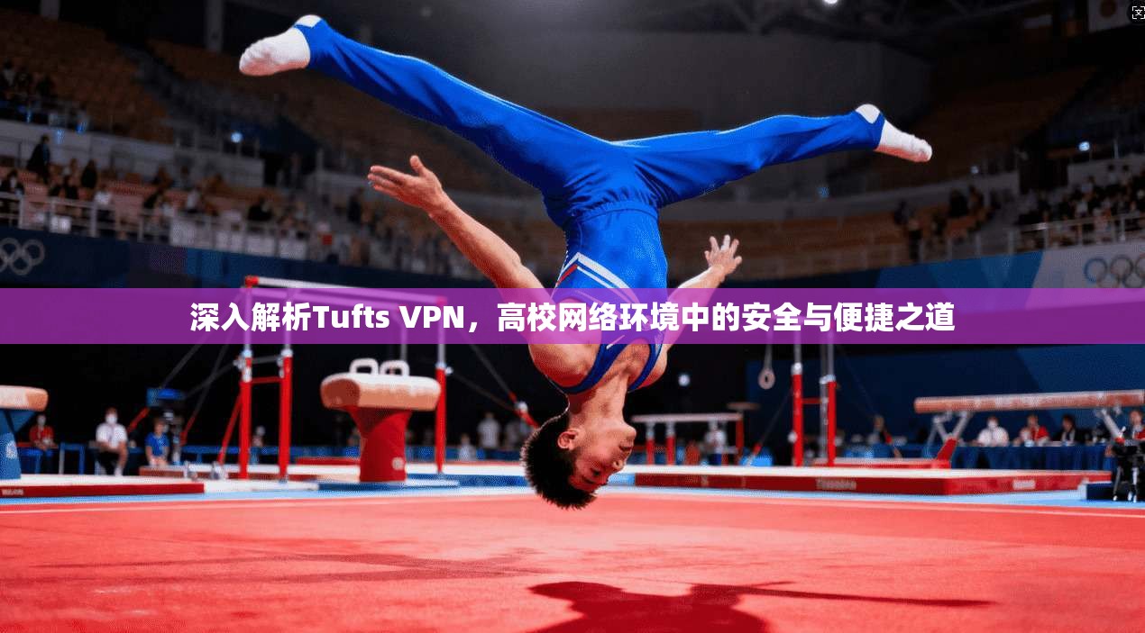 深入解析Tufts VPN，高校网络环境中的安全与便捷之道